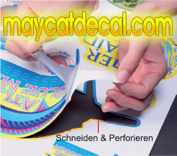 Mimaki-CG-SRII_cat
